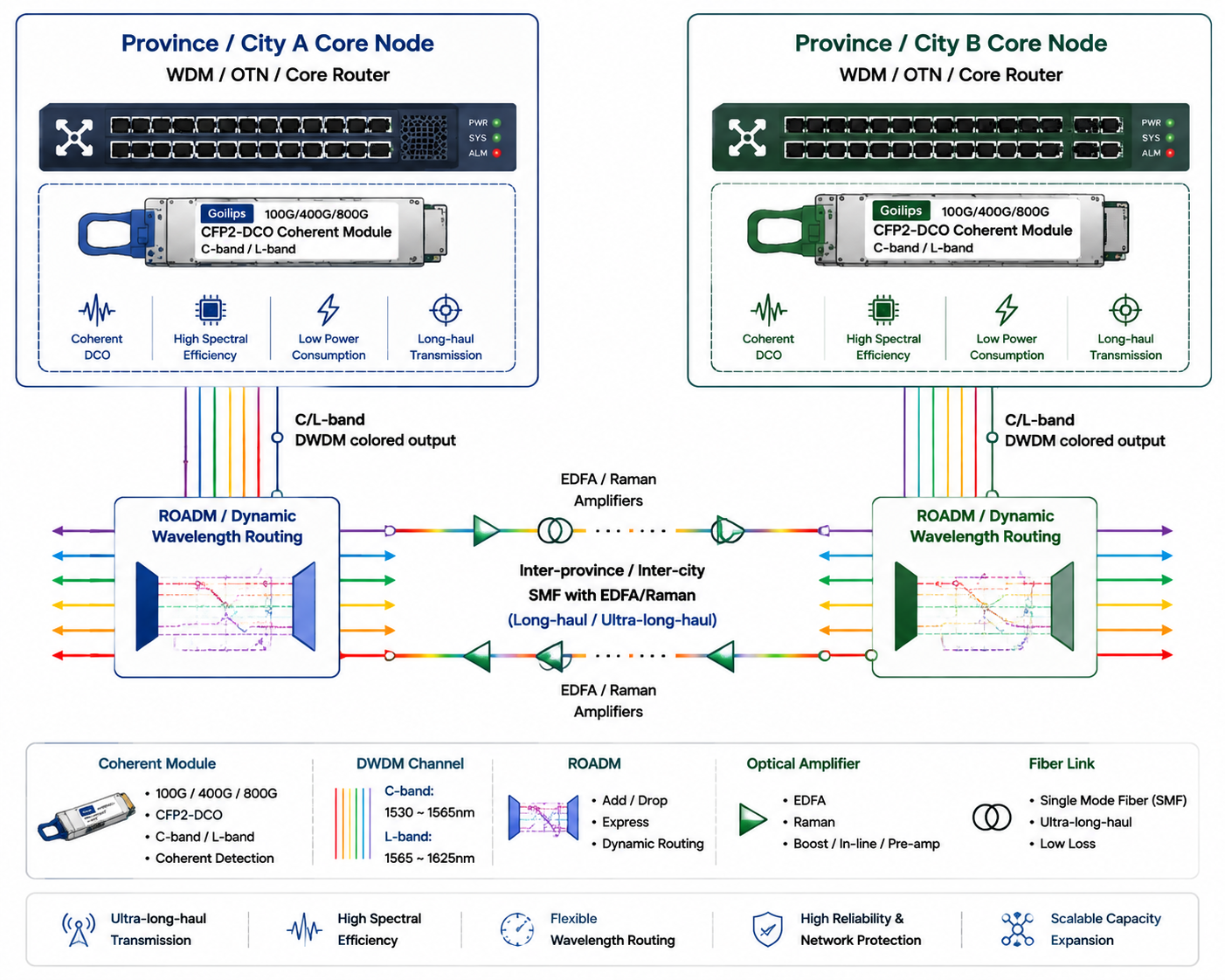 Goilips Metro/Backbone Coherent WDM Optical Transport Network Solution